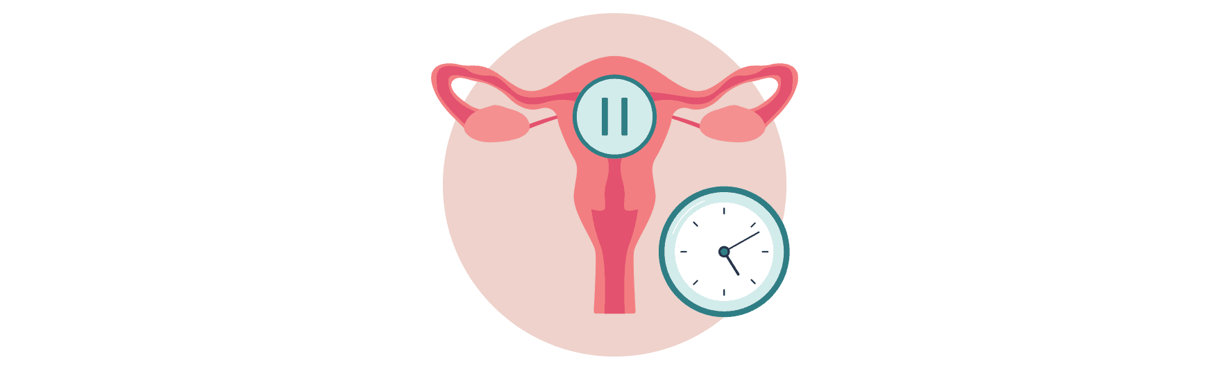 The Menopause Survival Kit Essentials for Every Woman RegenCen