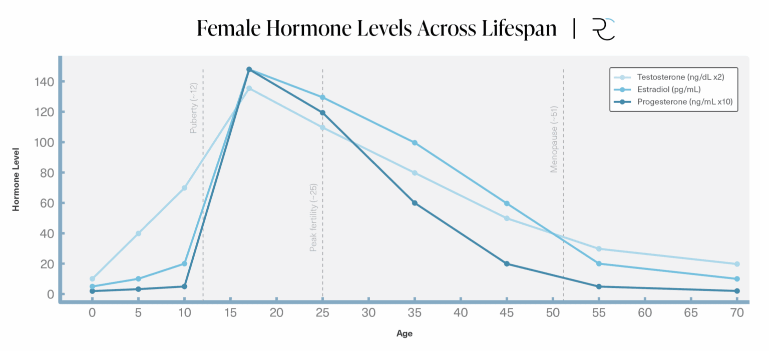 female testosterone female testosterone