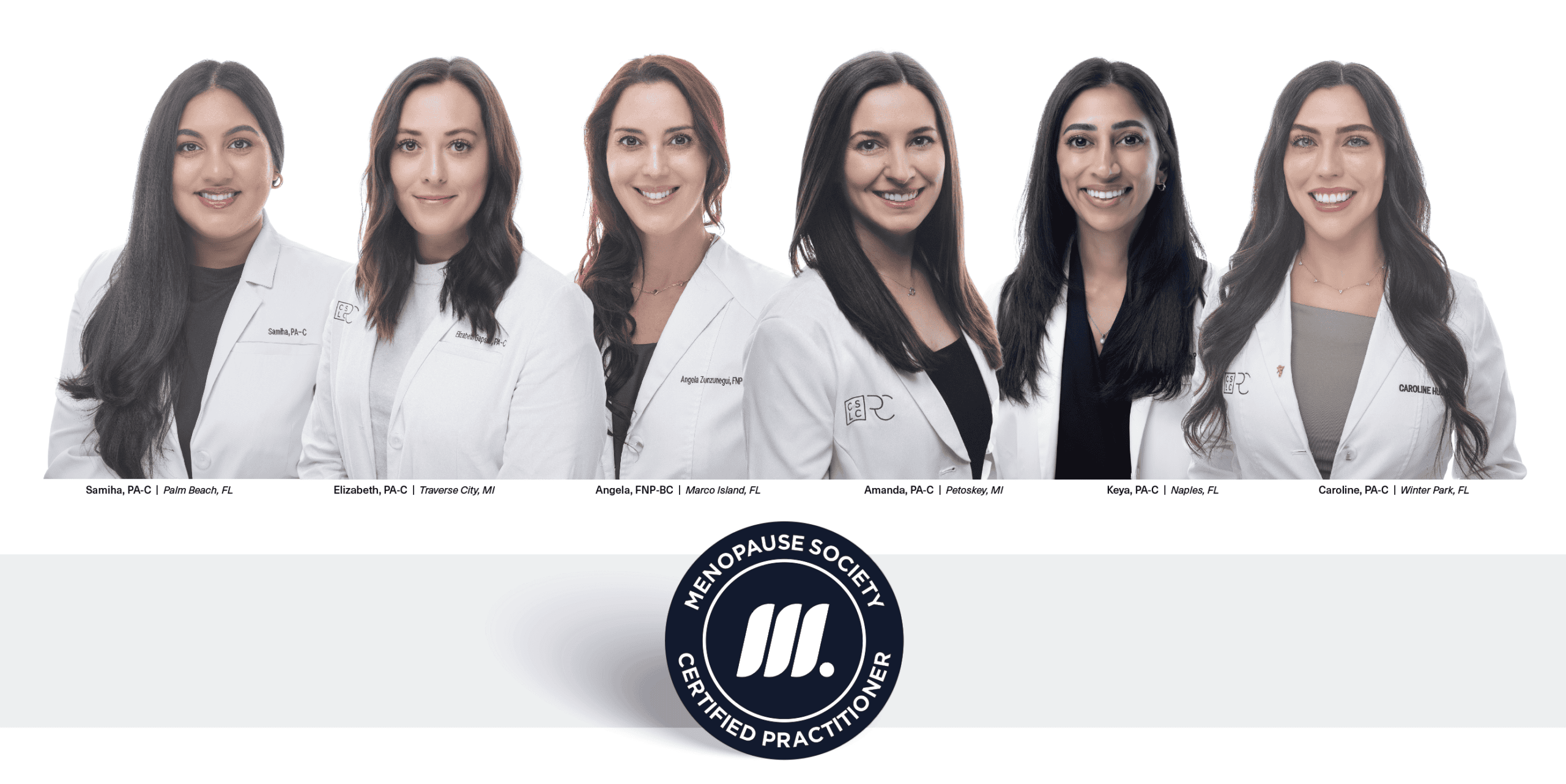 Menopause Society Practitioners
